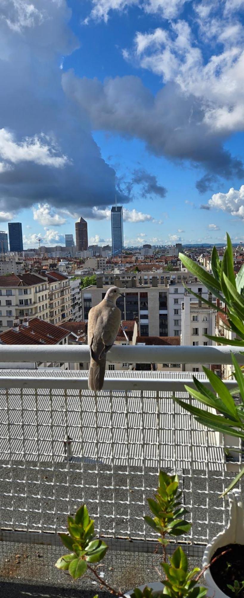 Apartmán Plein Sud Terrasse Climatisation Garage Netflix Lyon Exteriér fotografie
